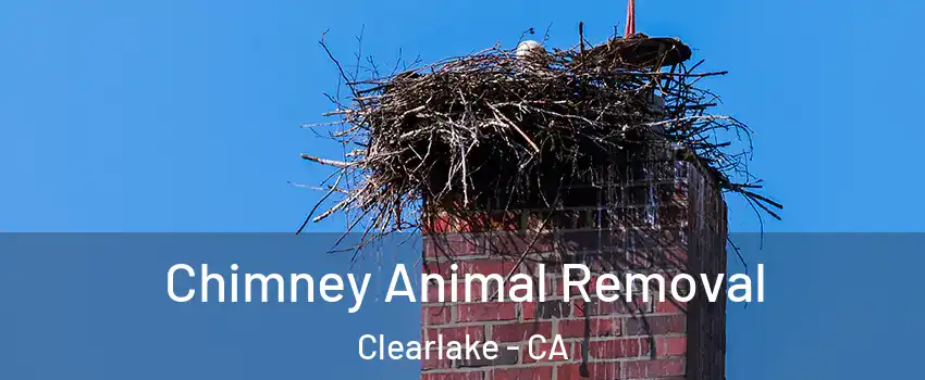 Chimney Animal Removal Clearlake - CA
