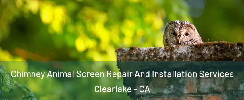  Chimney Animal Screen Repair And Installation Services Clearlake - CA