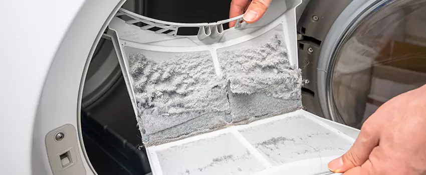 Best Dryer Lint Removal Company in Clearlake, California