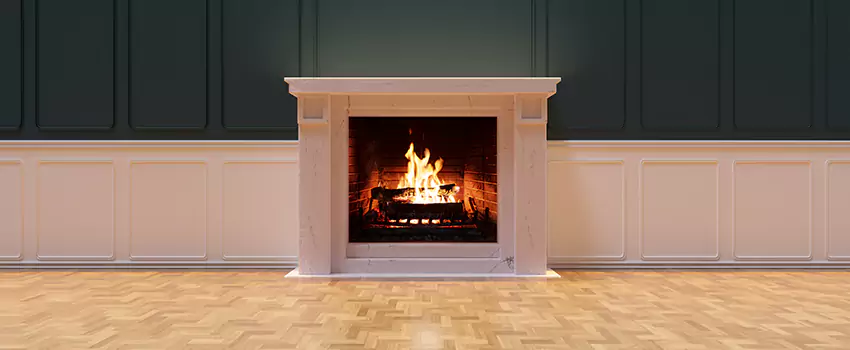 Napoleon Electric Fireplaces Inspection Service in Clearlake, California